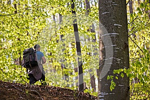 Tourist photographing the forest