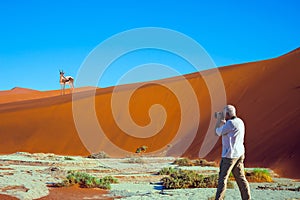 Tourist photographs an impala on the dune