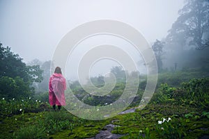 Tourist with pink rain coat Stand View the scenery natural beautiful touch fog at Phu Hin Rong Kla National Park. travel nature,