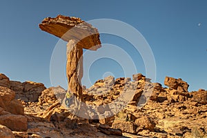 Turista representa próximo sobre el de champinón la roca formación de. 