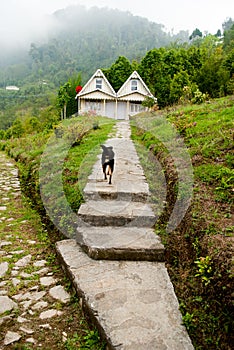 A tourist resort at hill top