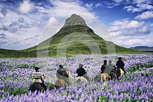 Tourist ride horse at Kirkjufell in Iceland.
