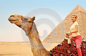 Tourist riding camel in Giza. Young blonde woman near Pyramid