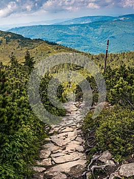 A tourist route from Babia Mountain Peak to Markowe Szczawiny, Beskid Zywiecki Mountains, Poland