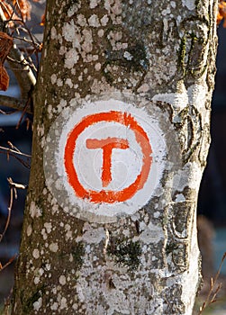 A tourist route indicator Via Transilvanica photo