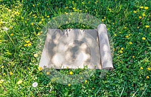 Tourist rug on a glade with green grass on a warm