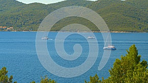 Tourist sailboats sail around the tranquil Adriatic sea on a sunny summer day.