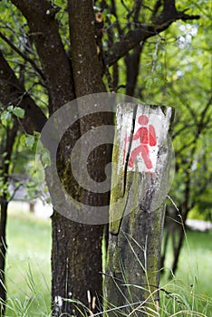 Tourist sign on the tree from Romania