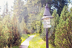 Tourist signpost - wooden pole with pointers - Jizerky bog photo