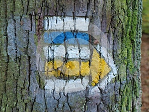 Tourist signposting on the bark of a tree
