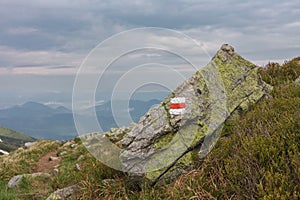Tourist signposts on rock in national park Mala Fatra, Slovakia, spring cloudy day