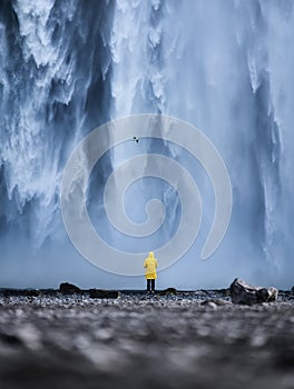Tourist on the Skogafoss waterfall background. Travelling on Iceland. Tourist in the famouns place in Iceland.