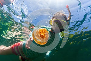 Tourist snorkeling in Jellyfish Lake