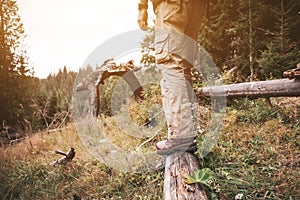 Tourist staying in front of big tree roots in the forest