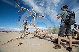 Tourist takes a picture of the dead dry tree
