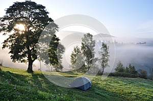 Tourist tent in camp