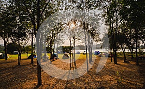 Tourist tent camping under the tree forest near the lake and beautiful sunlight