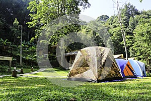 Tourist tent in forest