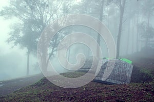 Tourist tent in Forest with fog