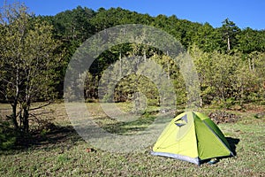 Tourist tent in the green forest