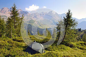 Tourist tent in the green forest on mountains