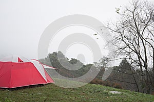 tourist tent in mist & fog. camping in forest. travel, vacation