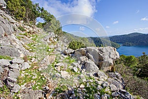 Tourist trail around Veliko jazero in National Park Mljet, Island Mljet, Croatia