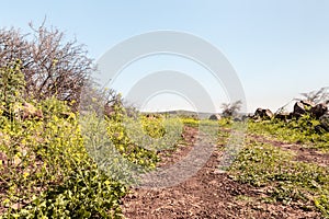 Tourist trail at the beginning of the route in the Yehudia National Nature Park in northern Israel