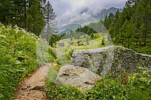 Tourist trail between Crampiolo and Catone, Alpe Devero, Alps, Ossola, Piedmont, Italy