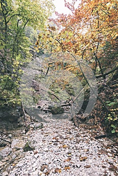 Tourist trail in woods - vintage retro look