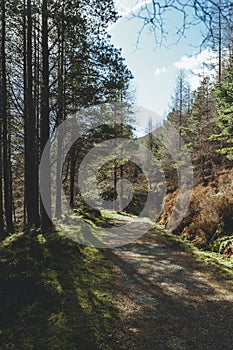 Tourist trail path in Scotland