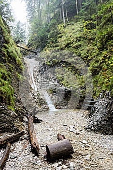 Tourist trail in woods