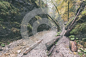 Tourist trail in woods - vintage retro look