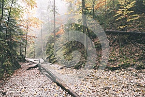 Tourist trail in woods - vintage retro look