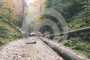 Tourist trail in woods - vintage retro look