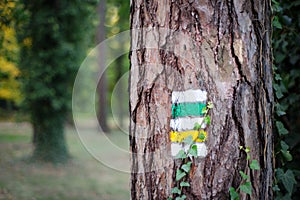 Tourist trail with yellow sign and green sign on the tree