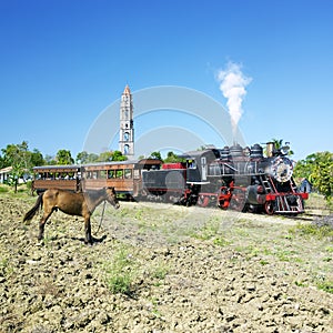 Turista el tren en 