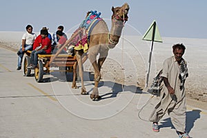 Tourist travelling in India on a cart pulled by camel