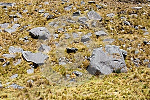 Tourist on trekking in Peru