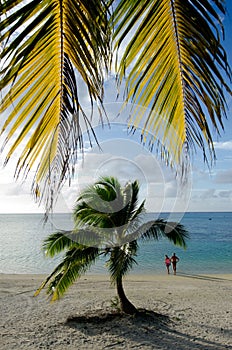 Tourist visit Aitutaki Lagoon Cook Islands