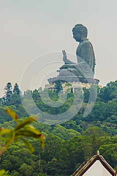 The tourist visited Giant Tian Tan Buddha statue on the peak of the mountain at Po Lin Monastery in Lantau Island, Hong Kong.