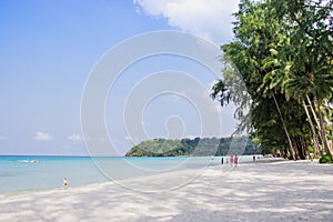 Tourist walk see the panorama of white sand beach with coconut palms taken on haad Klong Chao on tropical koh Kood island in Trat