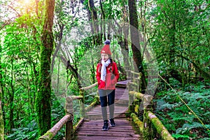 Tourist walking in Ang ka nature trail at Doi Inthanon national park , Chiang mai , Thailand.