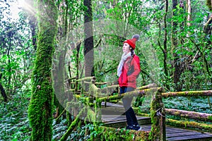 Tourist walking in Ang ka nature trail at Doi Inthanon national park , Chiang mai , Thailand.