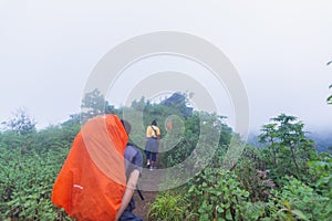 Tourist walking through heavy fog in tropical rainforest in mon jong doi at Chaing mai