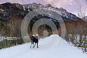 Tourist walking near lake Jasna