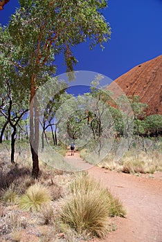 Tourist Walking Path Around Uluru