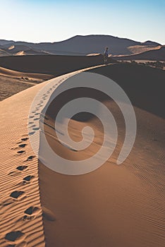 Tourist walking on the scenic dunes of Sossusvlei, Namib desert, Namib Naukluft National Park, Namibia. Adventure and exploration