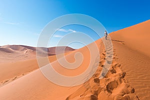 Tourist walking on the scenic dunes of Sossusvlei, Namib desert, Namib Naukluft National Park, Namibia. Afternoon light. Adventure