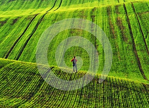 tourist walks on a green field. picturesque hills